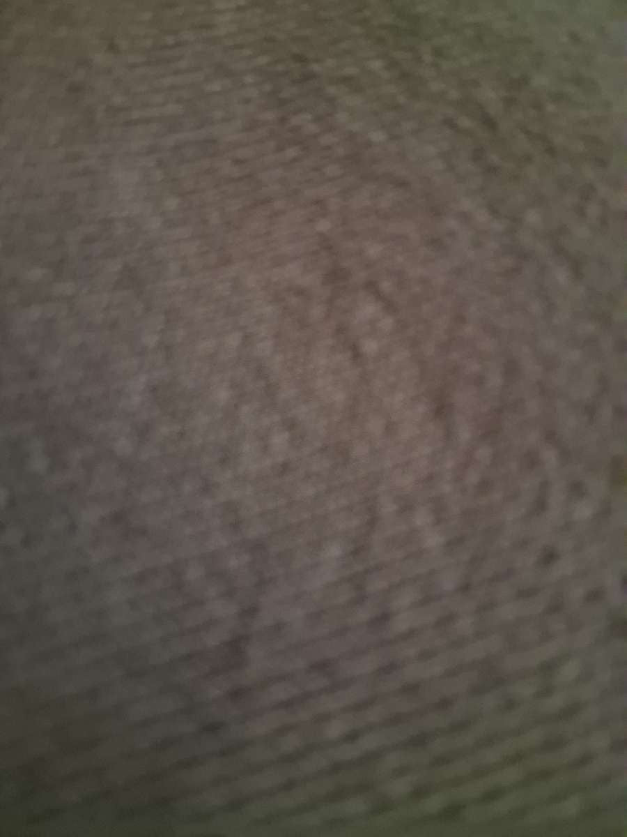 Fears Baggy Sweatpant